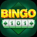 BINGO 101