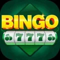 BINGO 777